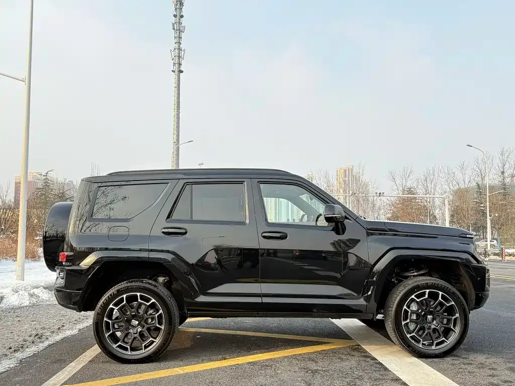 Tank 700 New Energy 2024 из CN, фото 2