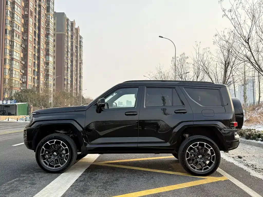 Tank 700 New Energy 2024 из CN, фото 3