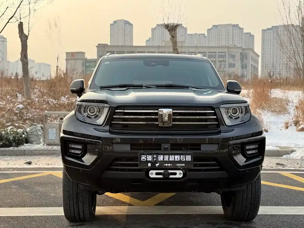 Tank 700 New Energy 2024 из CN, фото 4