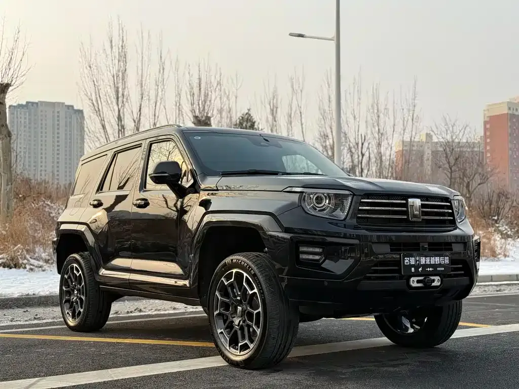 Tank 700 New Energy 2024 из CN, фото 8