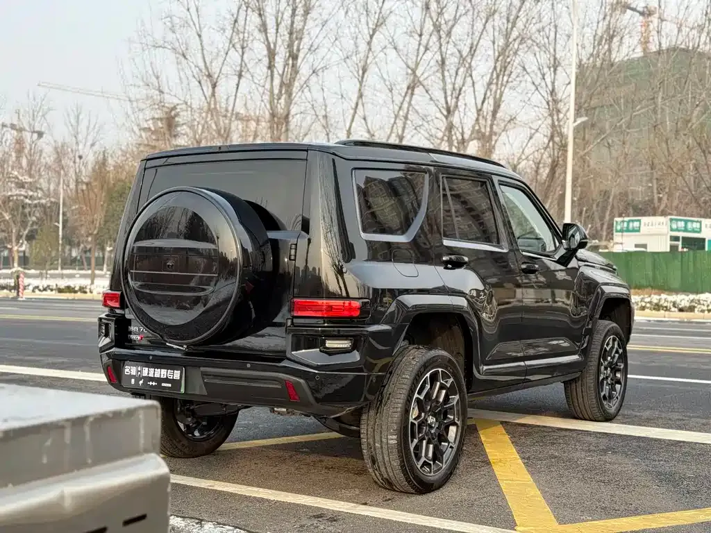 Tank 700 New Energy 2024 из CN, фото 9