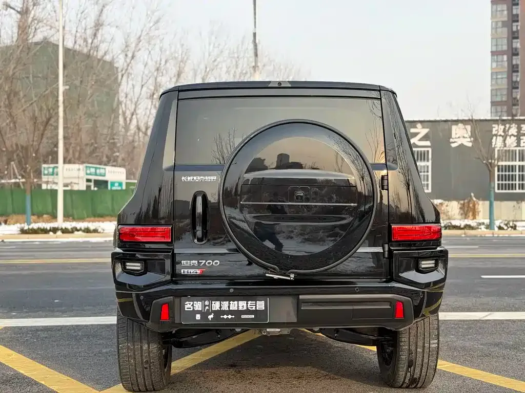 Tank 700 New Energy 2024 из CN, фото 7