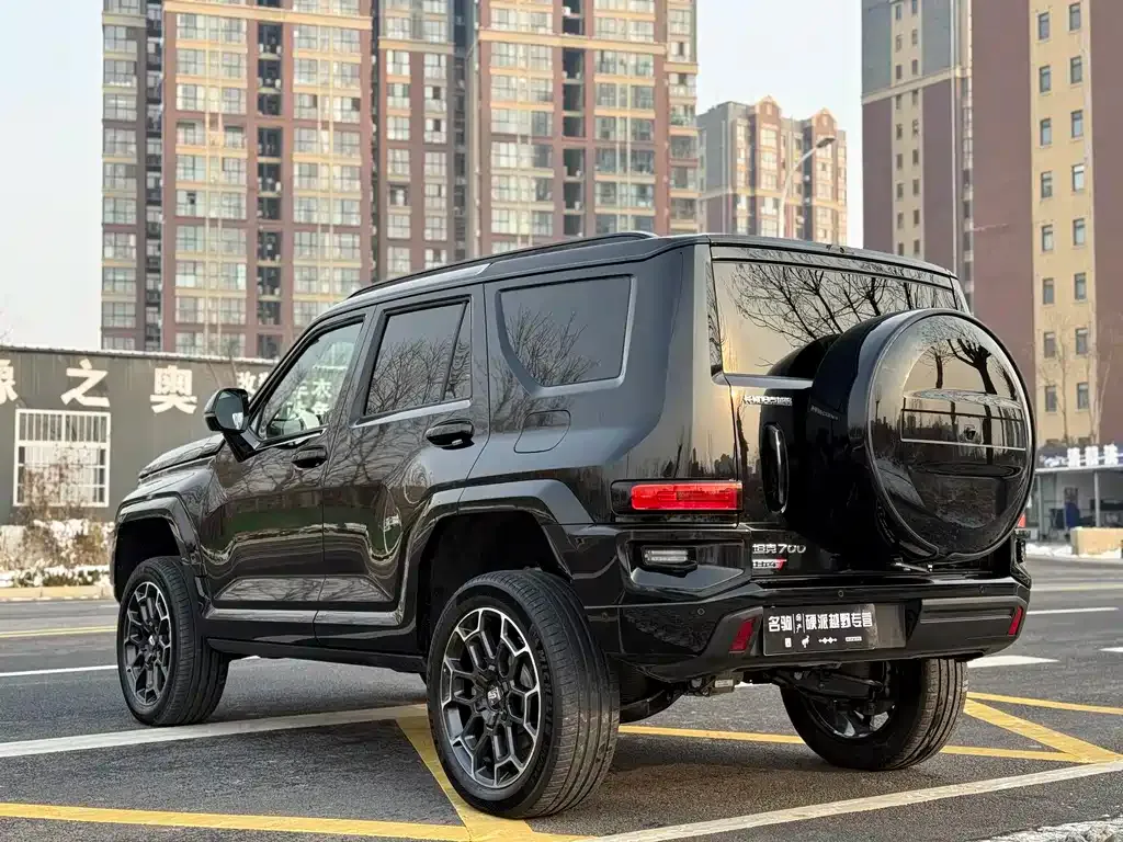 Tank 700 New Energy 2024 из CN, фото 10