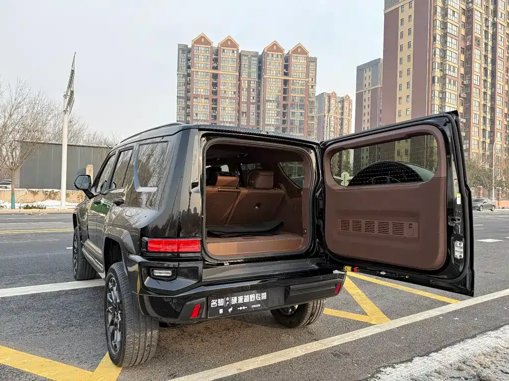 Tank 700 New Energy 2024 из CN, фото 6