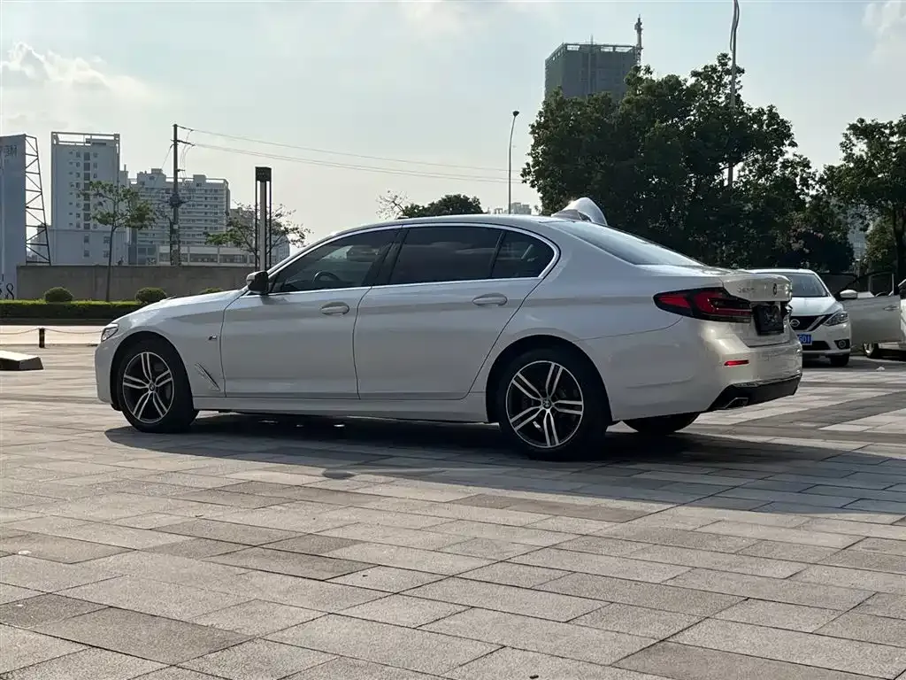 BMW 5 Series 2021 из CN, фото 4