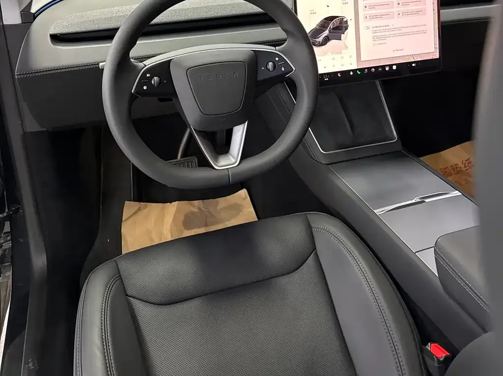 Tesla Model Y 2025 из CN, фото 2
