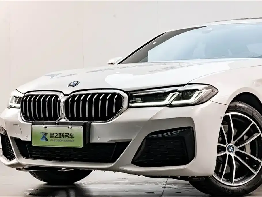 BMW 5 Series New Energy 2023 из CN, фото 7