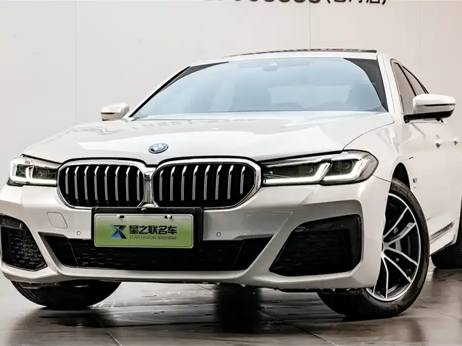 BMW 5 Series New Energy 2023 из CN, фото 10