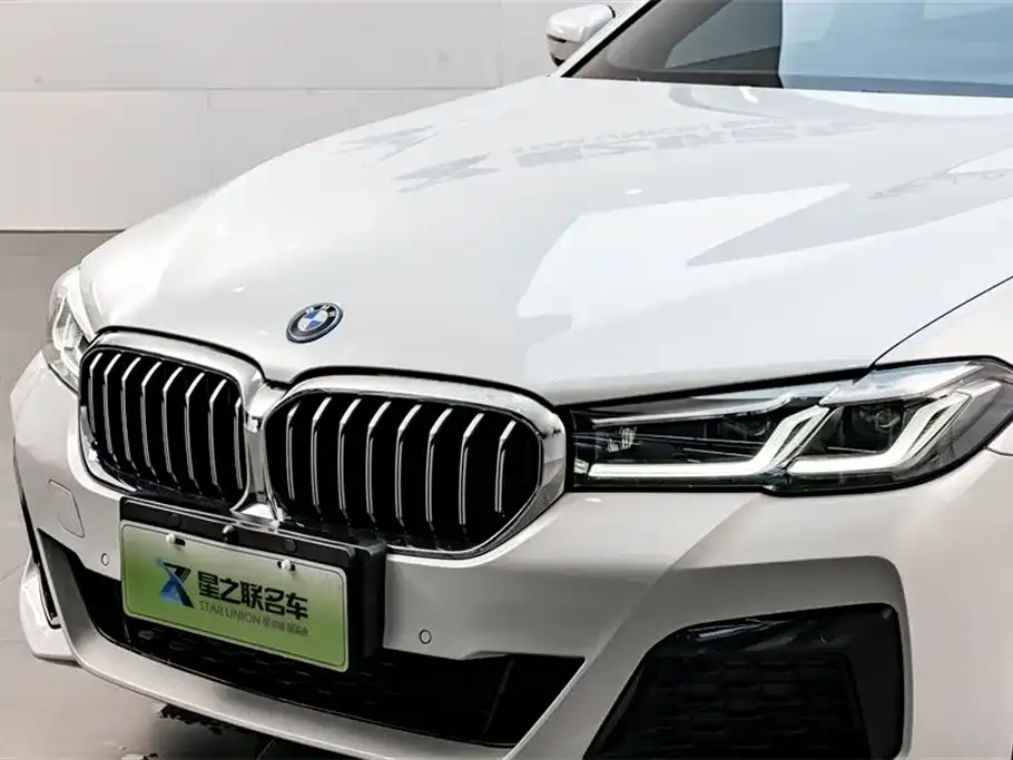 BMW 5 Series New Energy 2023 из CN, фото 4
