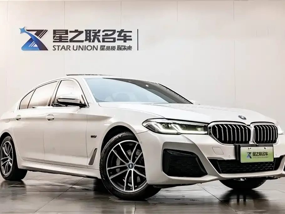 BMW 5 Series New Energy 2023 из CN, фото 8