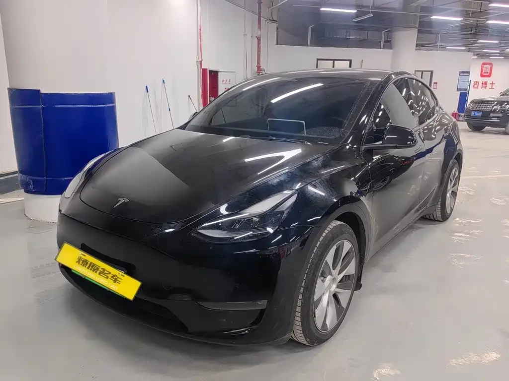 Tesla Model Y 2021 из CN, фото 1
