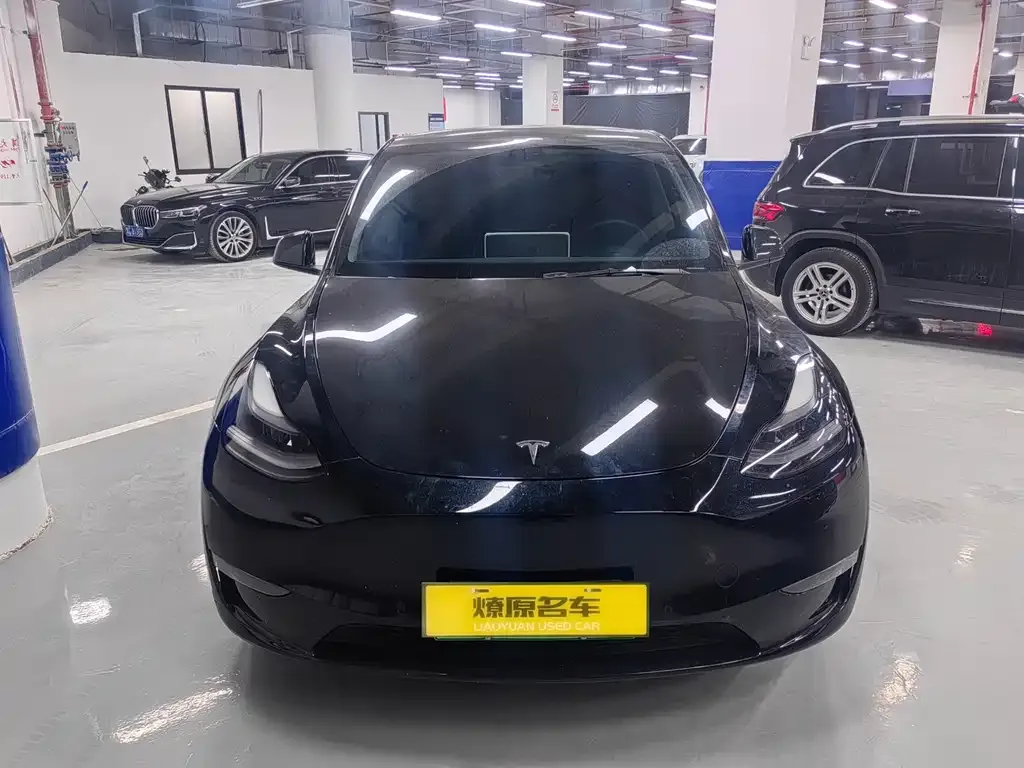 Tesla Model Y 2021 из CN, фото 4