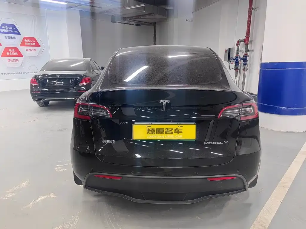 Tesla Model Y 2021 из CN, фото 5