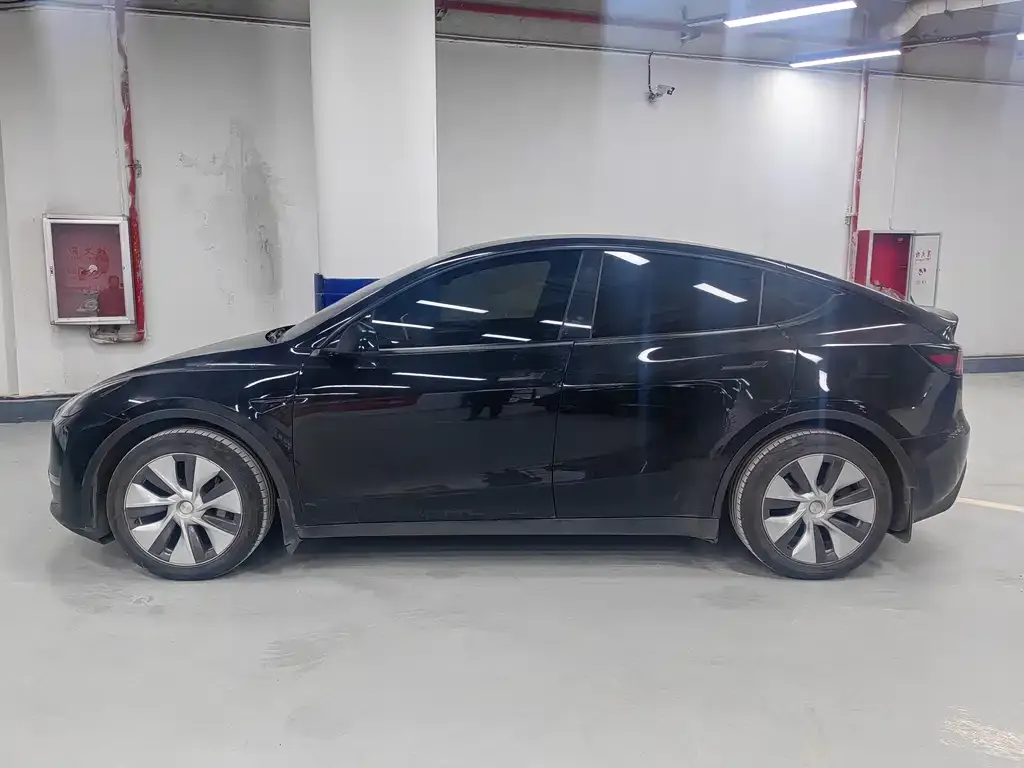 Tesla Model Y 2021 из CN, фото 6