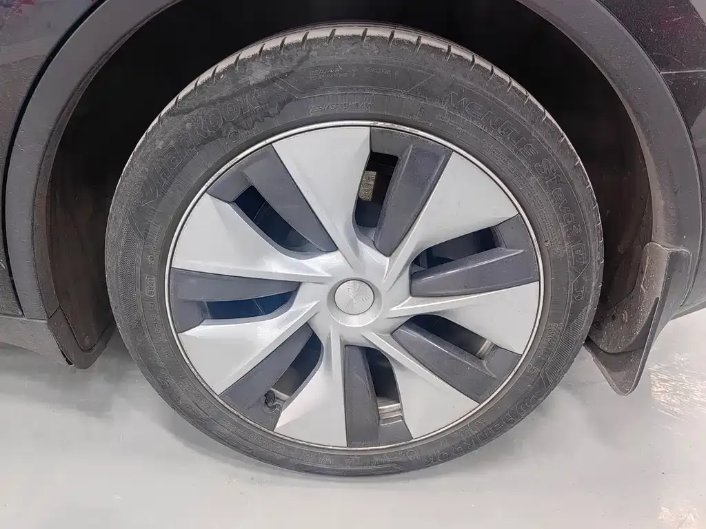 Tesla Model Y 2021 из CN, фото 7