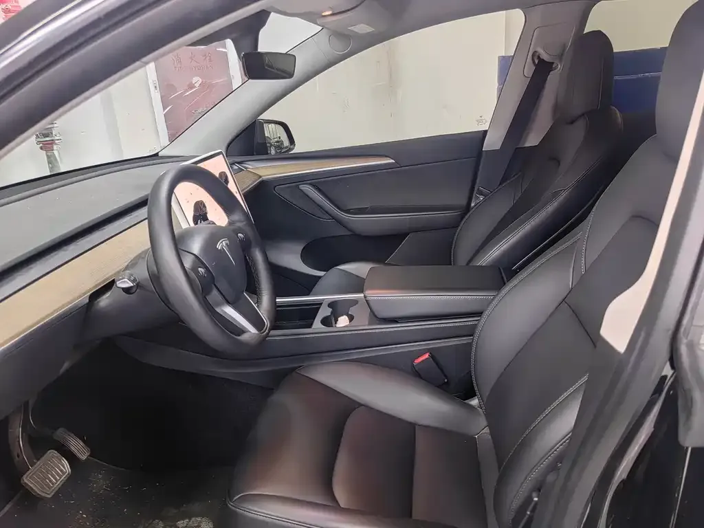 Tesla Model Y 2021 из CN, фото 3