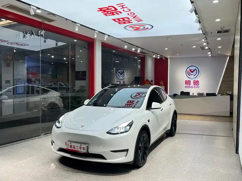 Tesla Model Y 2021 из CN, фото 1