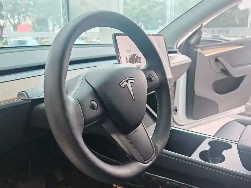 Tesla Model Y 2021 из CN, фото 9