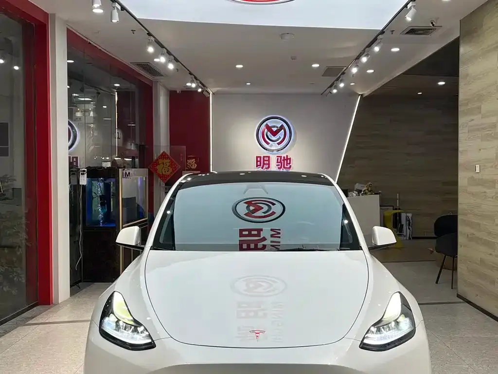 Tesla Model Y 2021 из CN, фото 7
