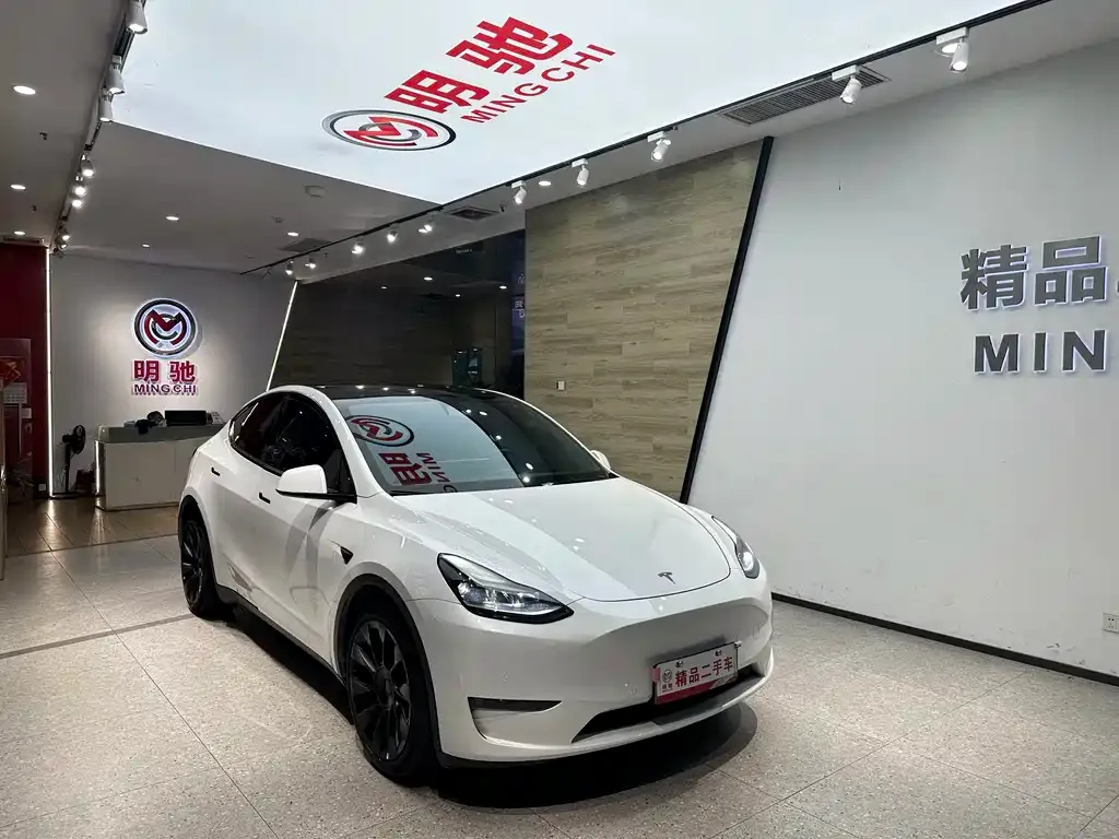 Tesla Model Y 2021 из CN, фото 8