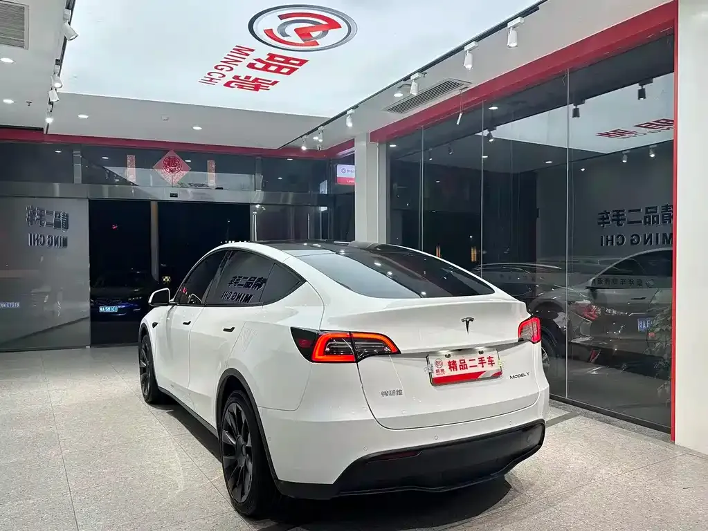 Tesla Model Y 2021 из CN, фото 3