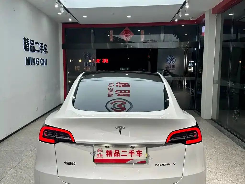 Tesla Model Y 2021 из CN, фото 2