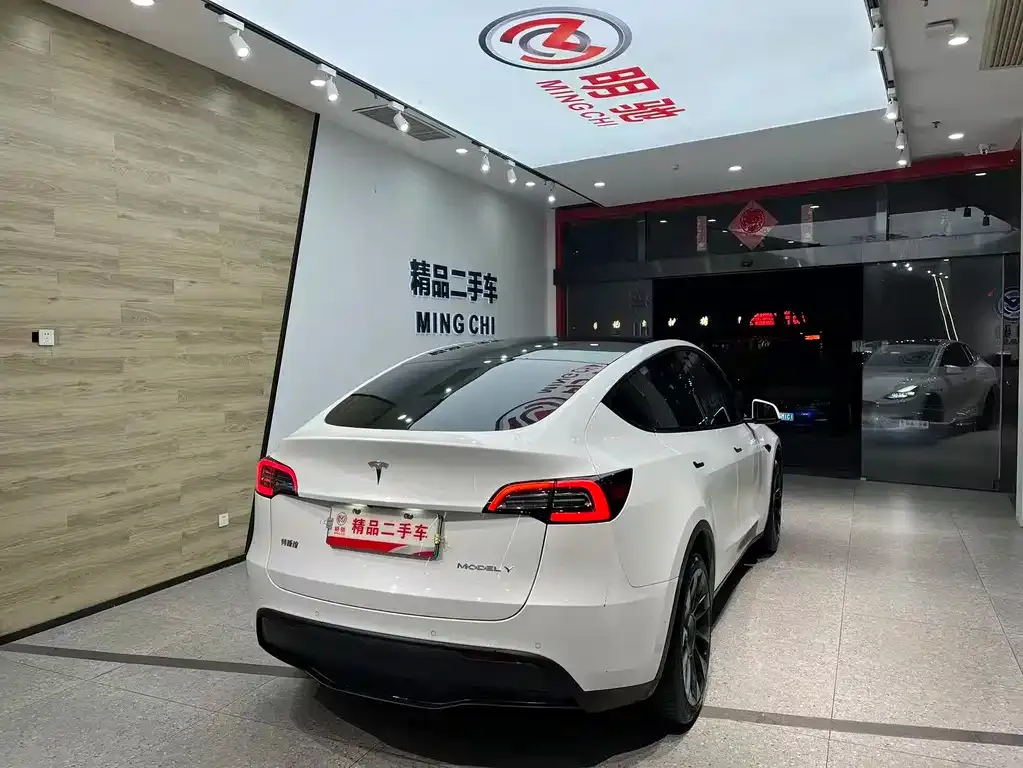 Tesla Model Y 2021 из CN, фото 5