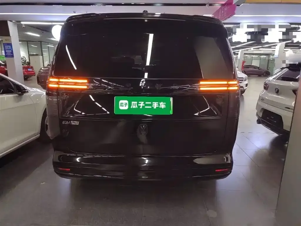 Volvo EM90 2024 из CN, фото 3