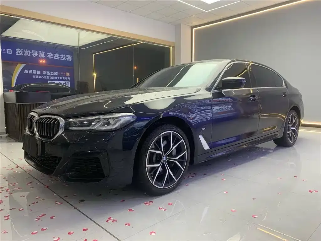 BMW 5 Series 2023 из CN, фото 1
