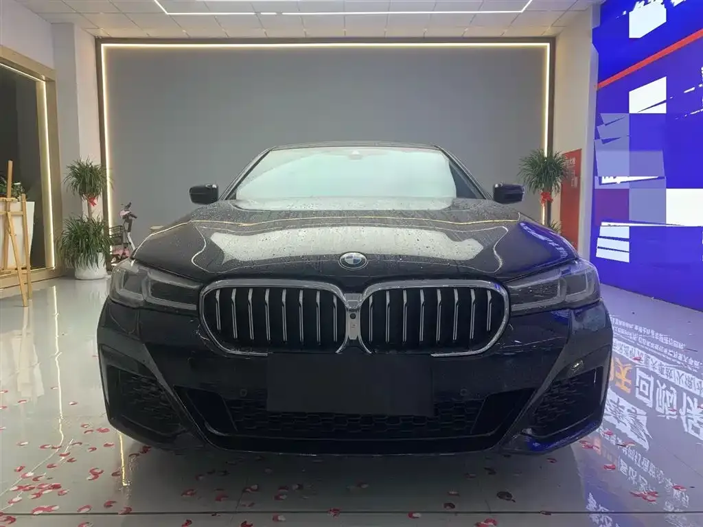 BMW 5 Series 2023 из CN, фото 5