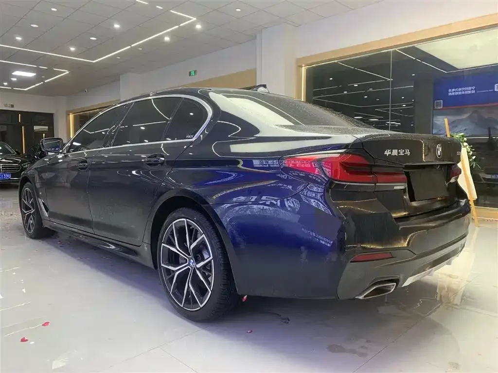BMW 5 Series 2023 из CN, фото 8