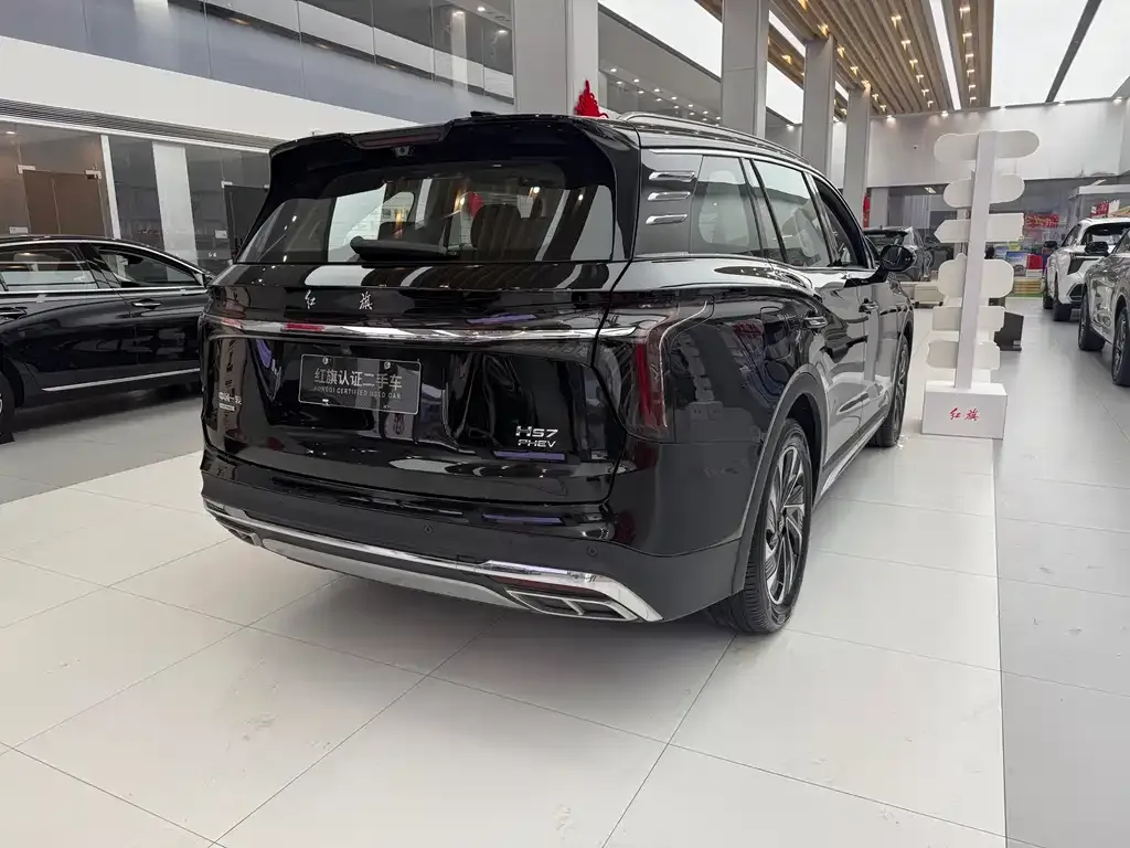 Hongqi HS7 PHEV 2024 из CN, фото 9
