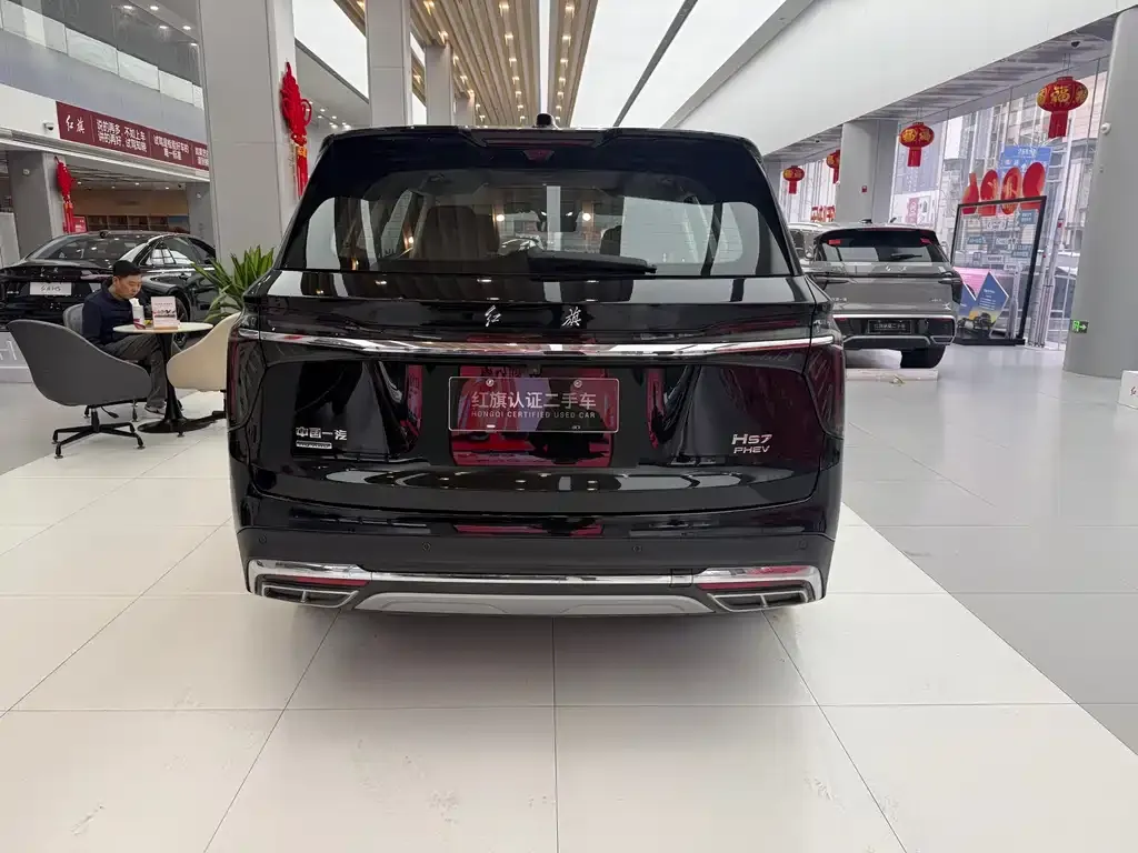 Hongqi HS7 PHEV 2024 из CN, фото 10