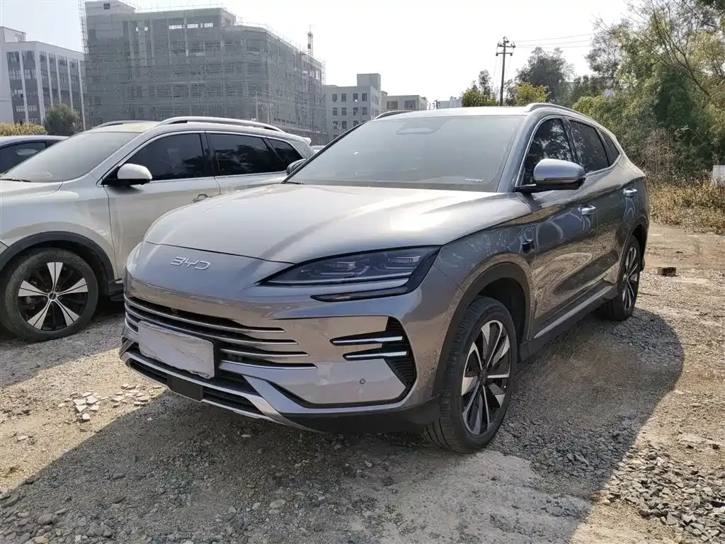 BYD PLUS New Energy 2025 из CN, фото 1