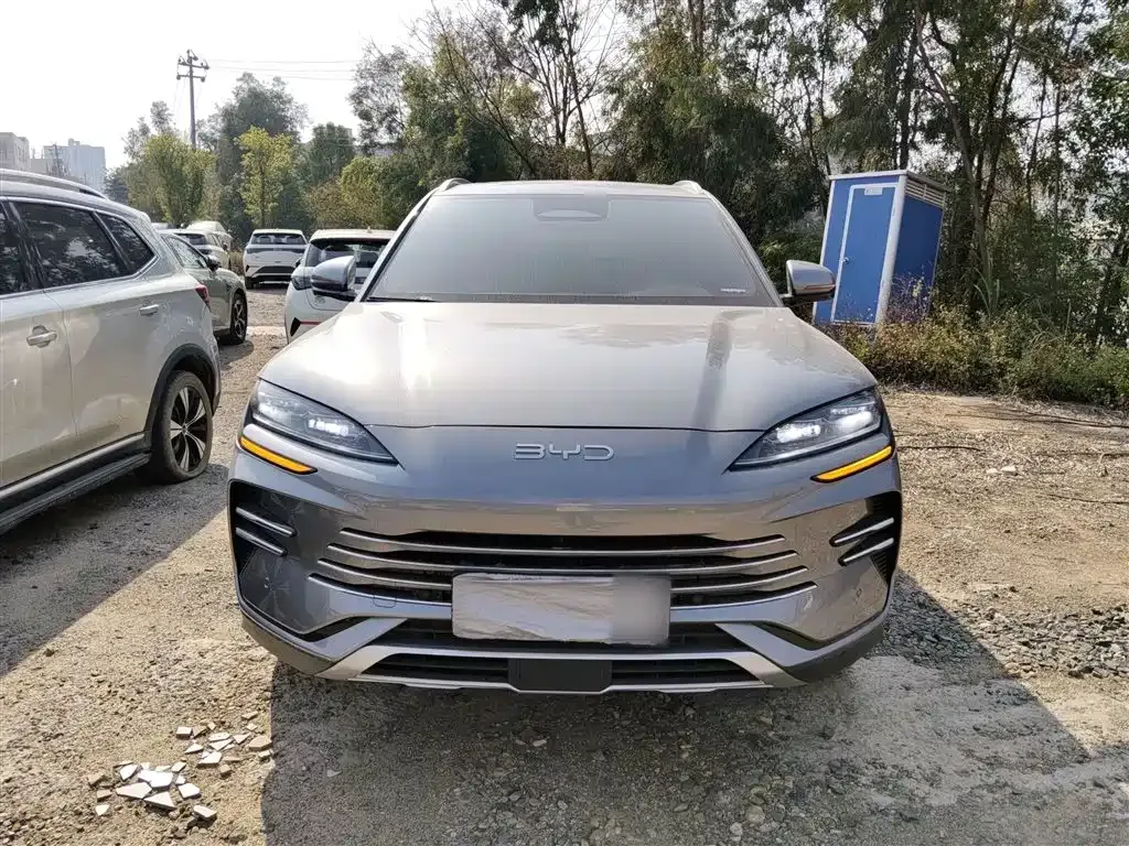 BYD PLUS New Energy 2025 из CN, фото 5