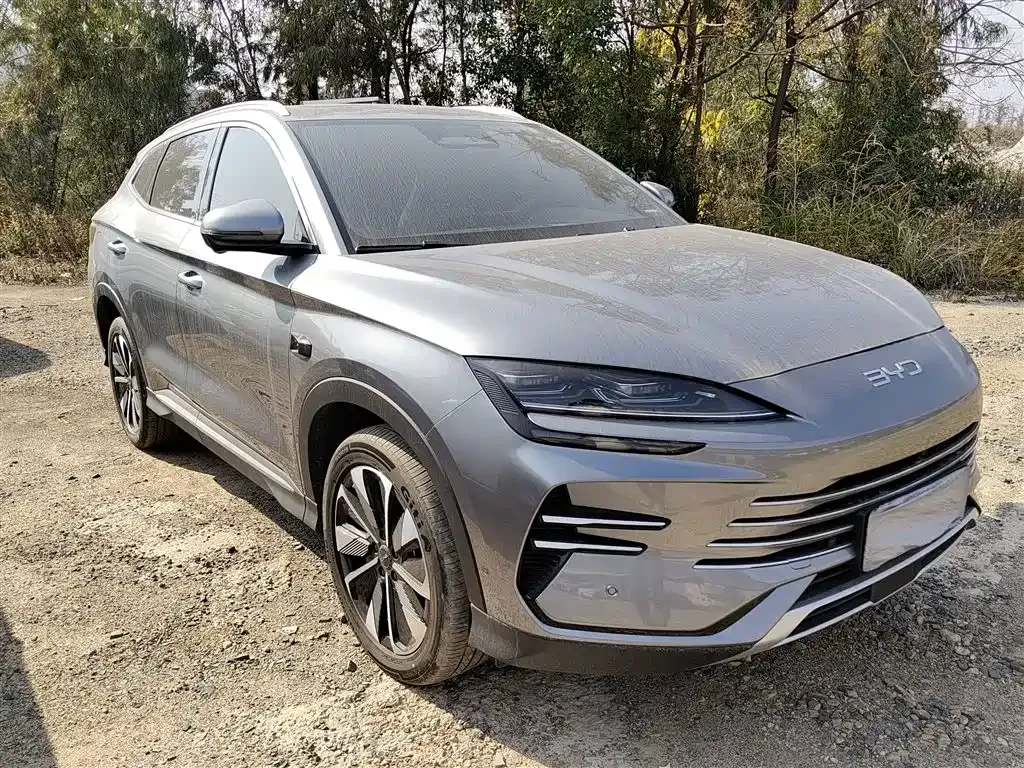 BYD PLUS New Energy 2025 из CN, фото 10