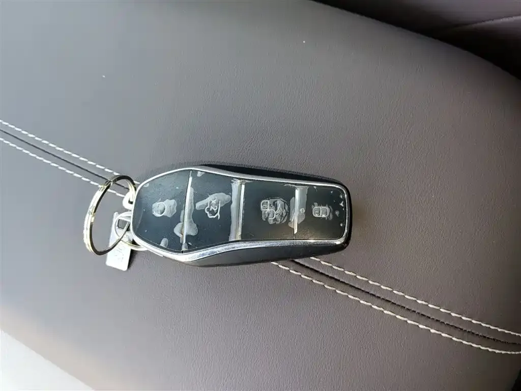 BYD PLUS New Energy 2025 из CN, фото 2