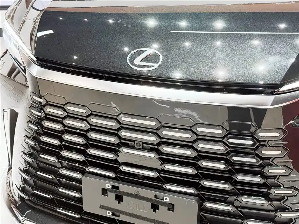 Lexus LM 2024 из CN, фото 6