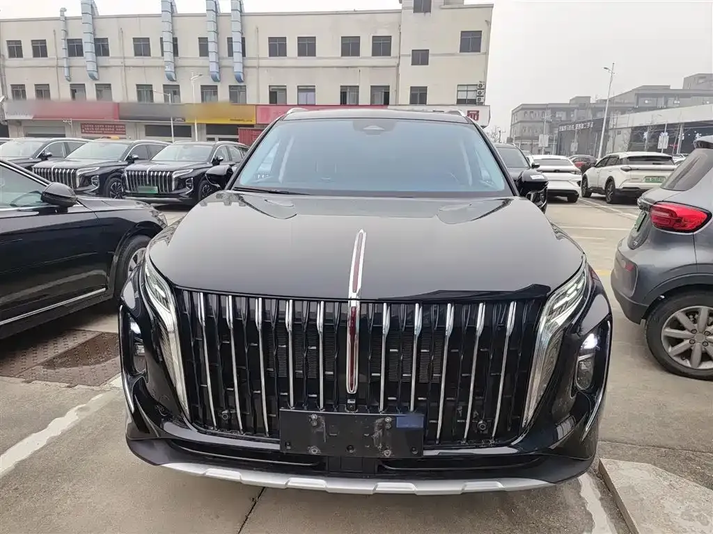 Hongqi HS7 PHEV — фото 8