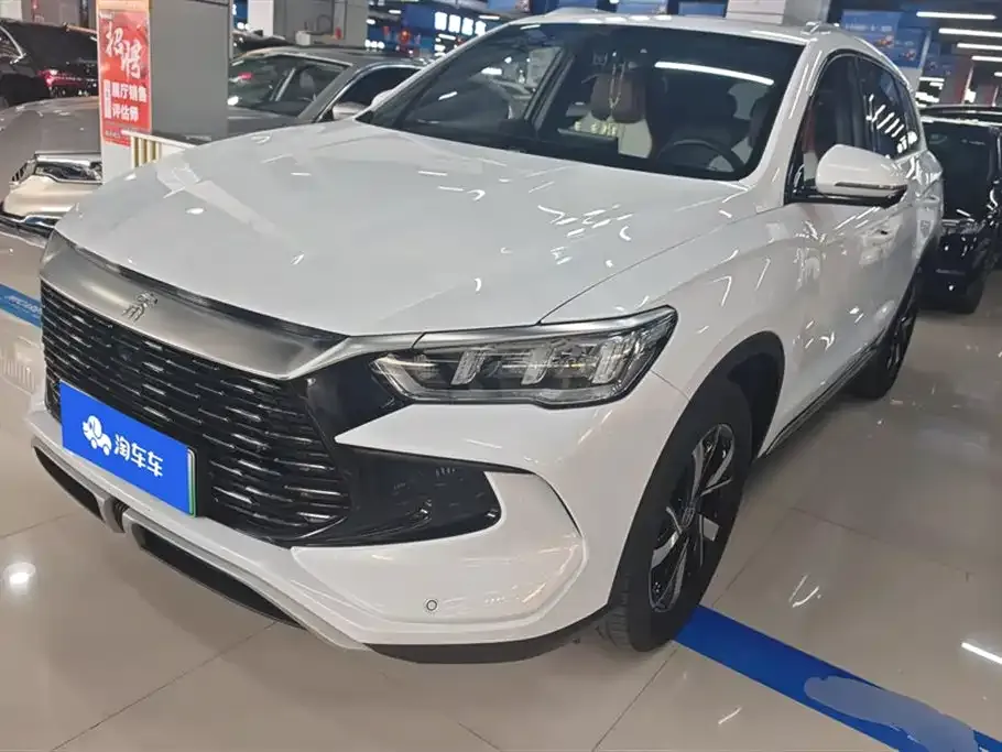 BYD Pro New Energy 2023 из CN, фото 1