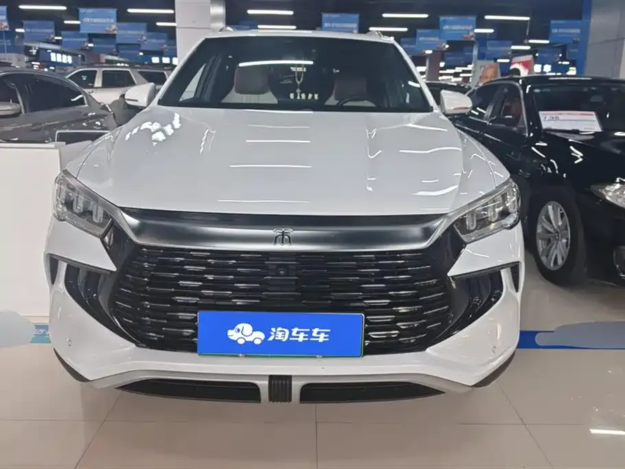 BYD Pro New Energy 2023 из CN, фото 6