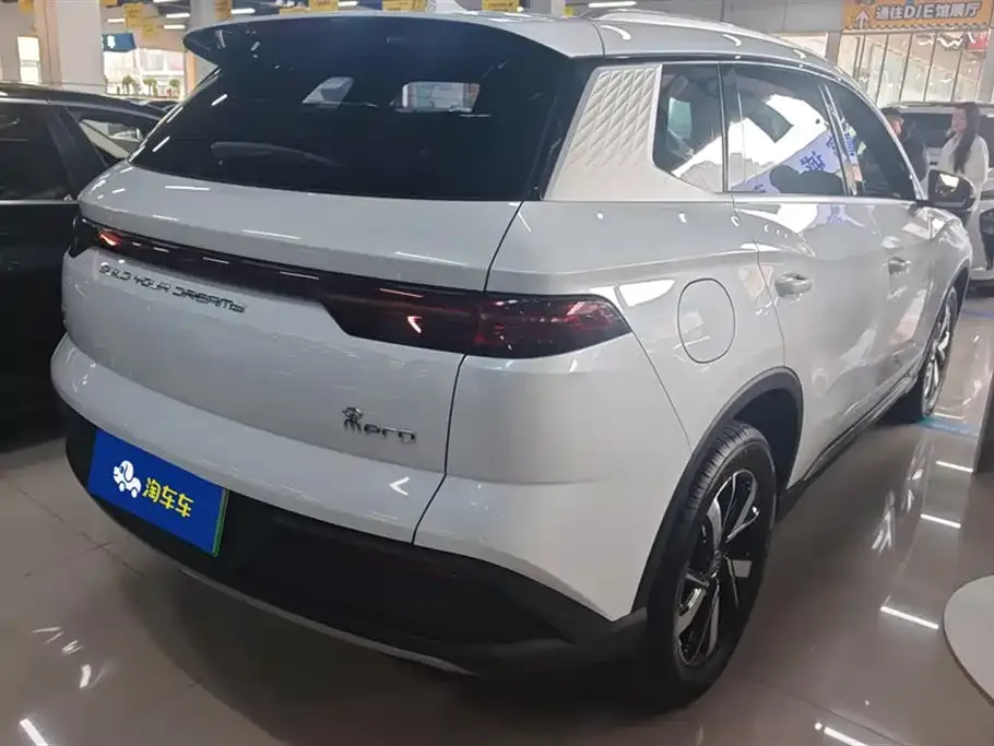 BYD Pro New Energy 2023 из CN, фото 4