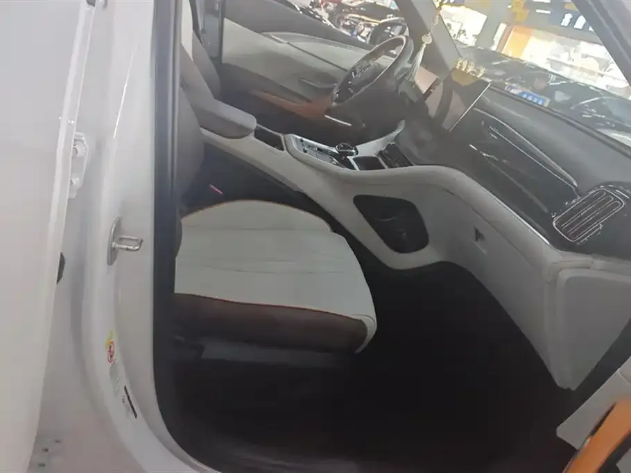 BYD Pro New Energy 2023 из CN, фото 9