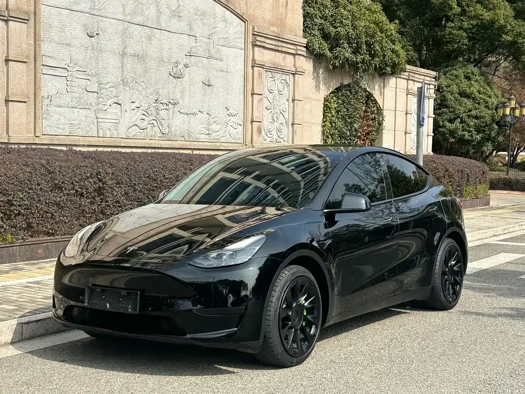 Tesla Model Y 2023 из CN, фото 1
