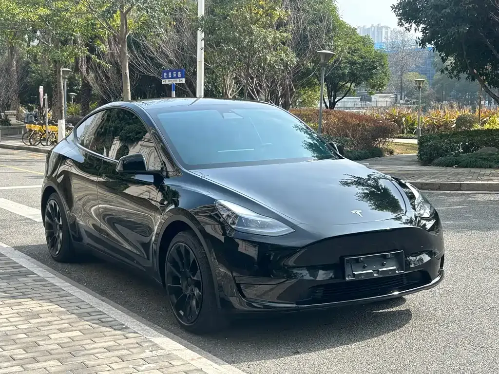 Tesla Model Y 2023 из CN, фото 7