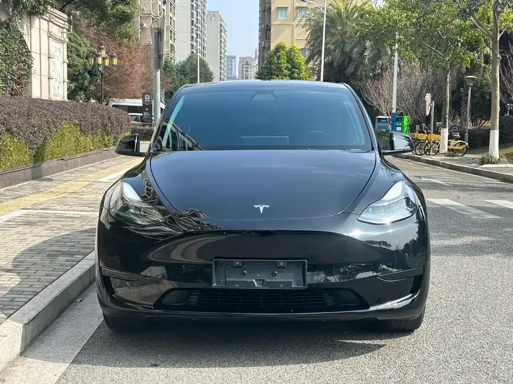 Tesla Model Y 2023 из CN, фото 10