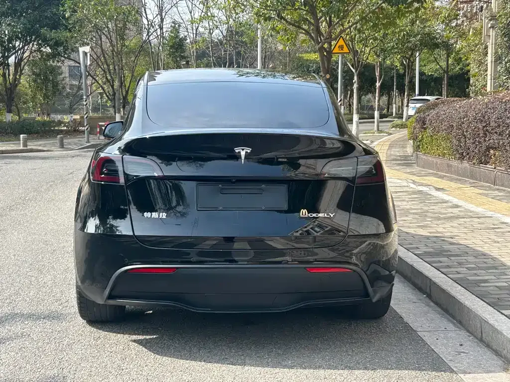 Tesla Model Y 2023 из CN, фото 4