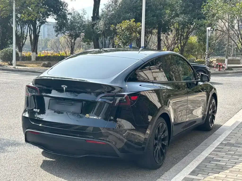 Tesla Model Y 2023 из CN, фото 8