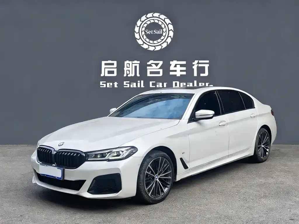 BMW 5 Series 2022 из CN, фото 1