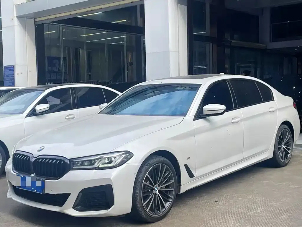 BMW 5 Series 2022 из CN, фото 5
